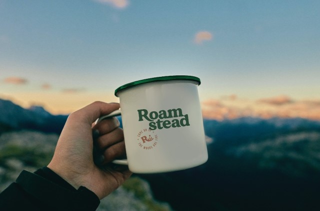 roamstead mug