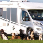 A Motorhome with a Kennel